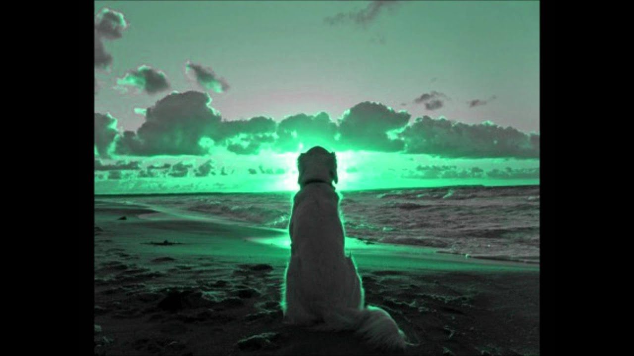 Manu Riveiro - Reflexion (Soundtrack 