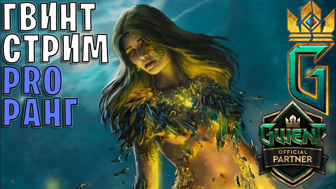 Gwent | Вечер, романтика и карты &mdash; Гвинт 11.11