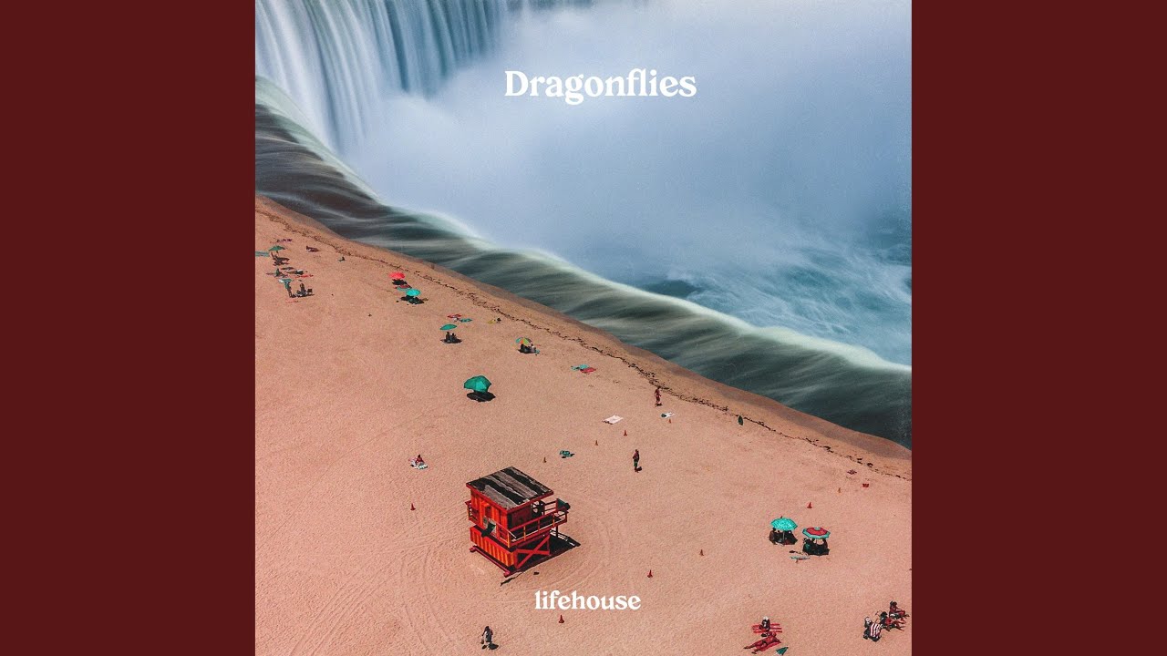 Dragonflies