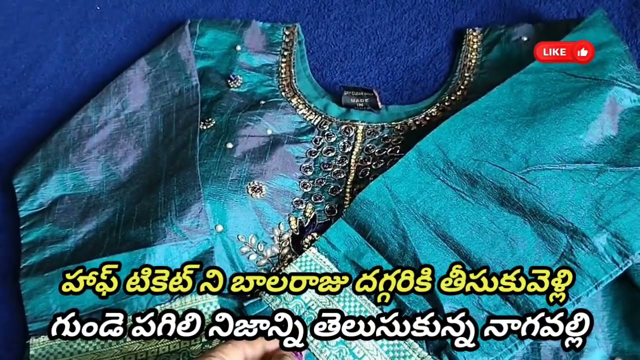 Chinni Serial Review హాఫ్ టికెట్ ని బాలరాజు దగ్గరికి తీసుకువెళ్లి  నిజాన్ని తెలుసుకున్న నాగవల్లి 