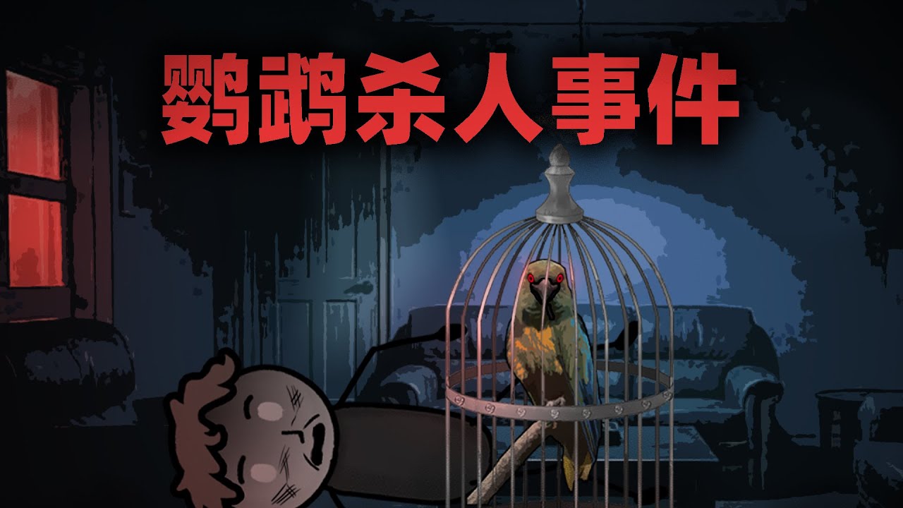 我从来没有想过，一只鹦鹉竟然能够杀人