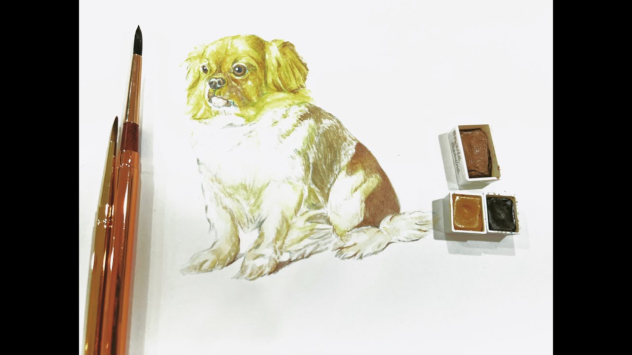 Relaxing Watercolor Sketch Process/ Capturing light, Color and Feeling