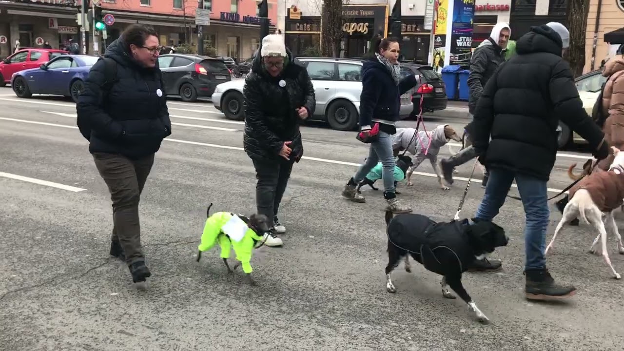 GaLGo-MaRScH MüNcHeN - TierSchutz 28/01/23