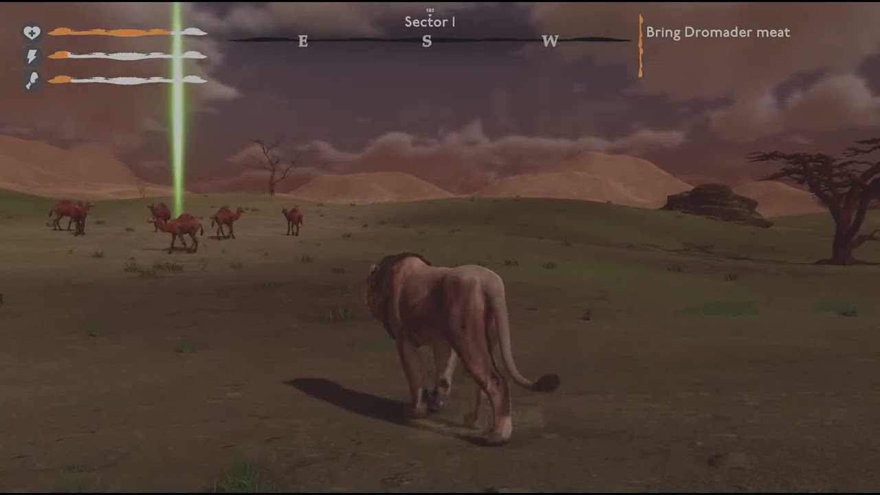 Lion Simulator episode 12