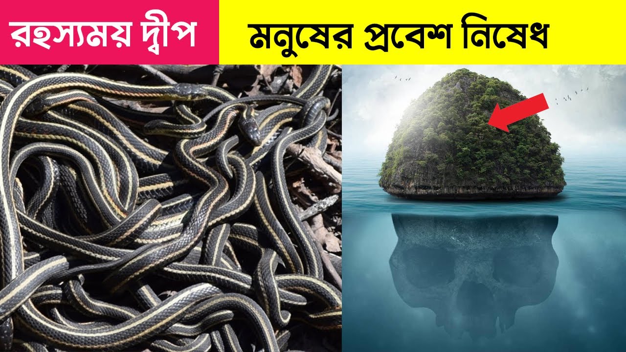 রহস্যময় সাপের দ্বীপ। এই দ্বীপে কেউ গেলে আর ফিরে আসেনা || MRM World