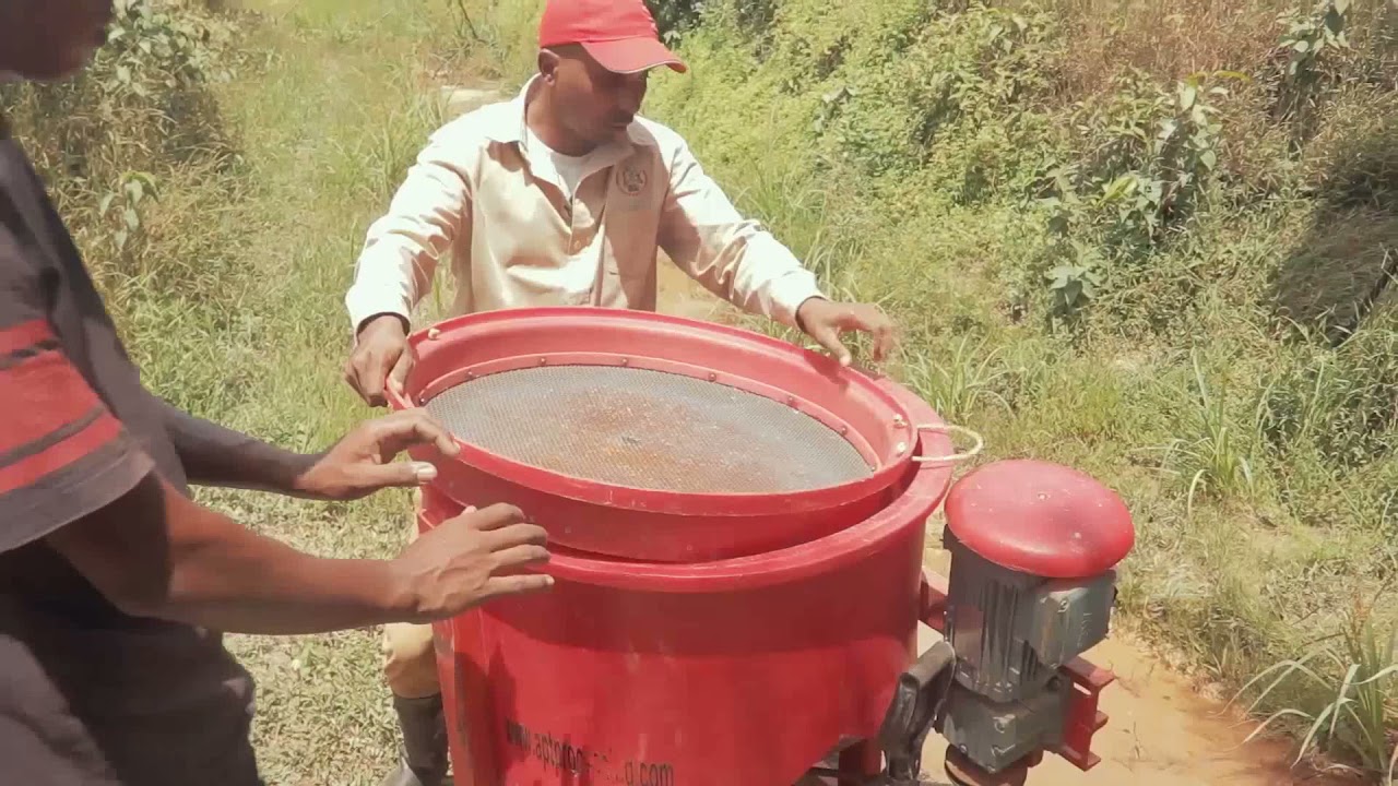 Gold kacha and How to use it