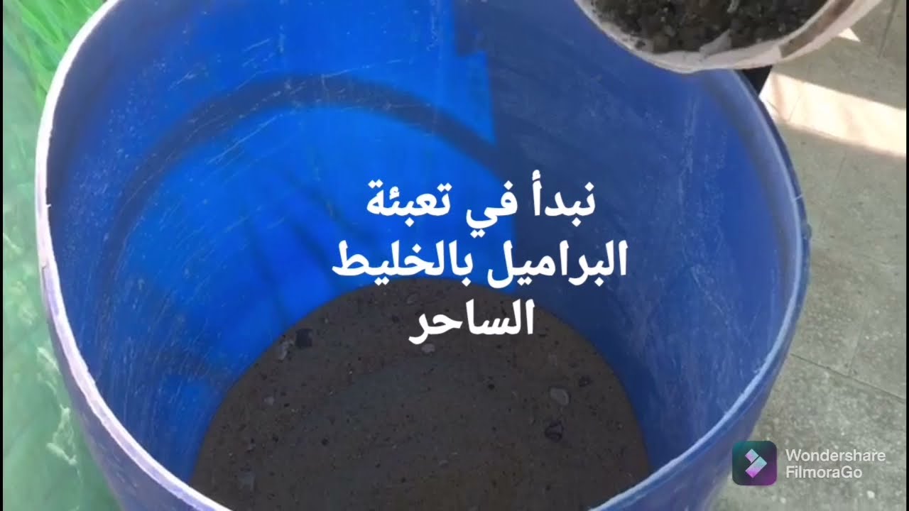 تعالي نتعلم الخلطة السحرية لزراعة البراميل علي اسطح المنازل  باشجار الفاكهة 01013295995