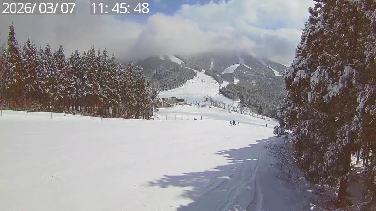 【SKIJAM】バラエティー山頂カメラ　スキージャム勝山ライブ配信映像
