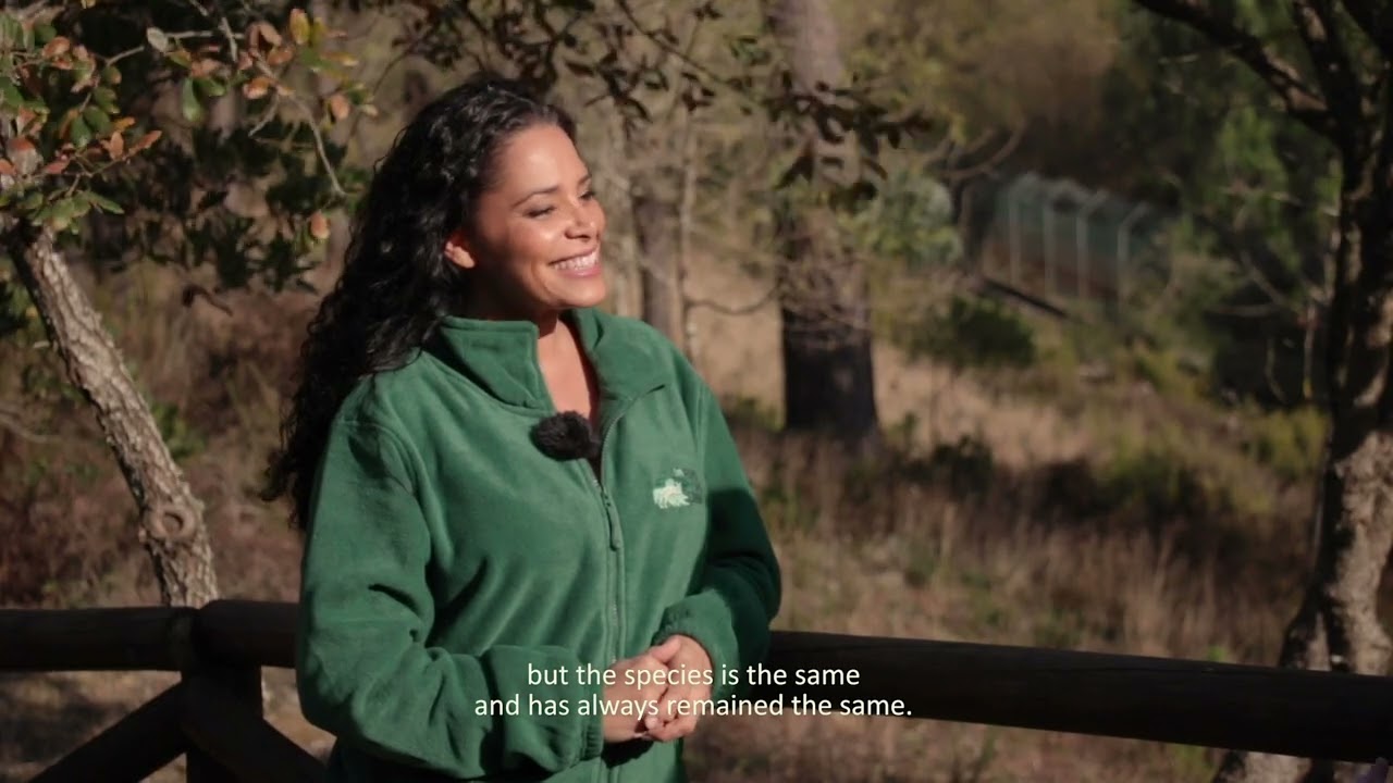 The truth about wolves