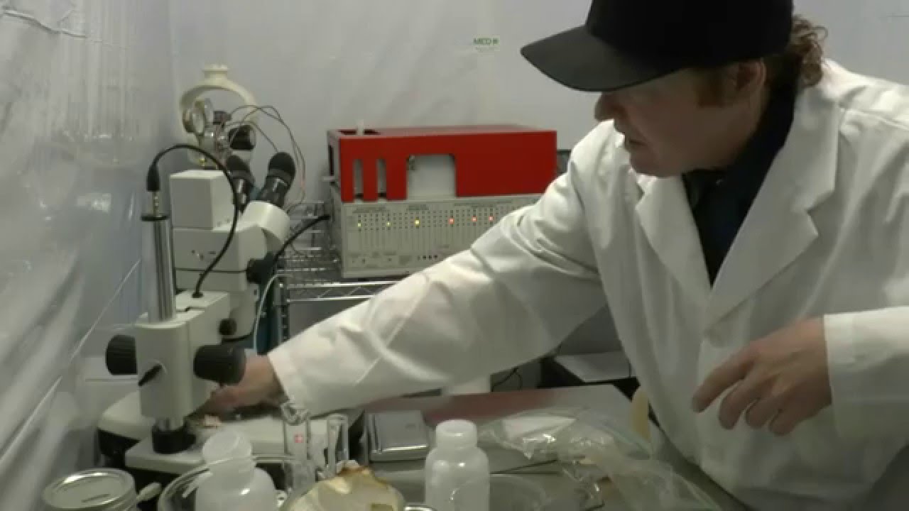 Rosin Tech Parchment Paper Testing What Is Floating ?
