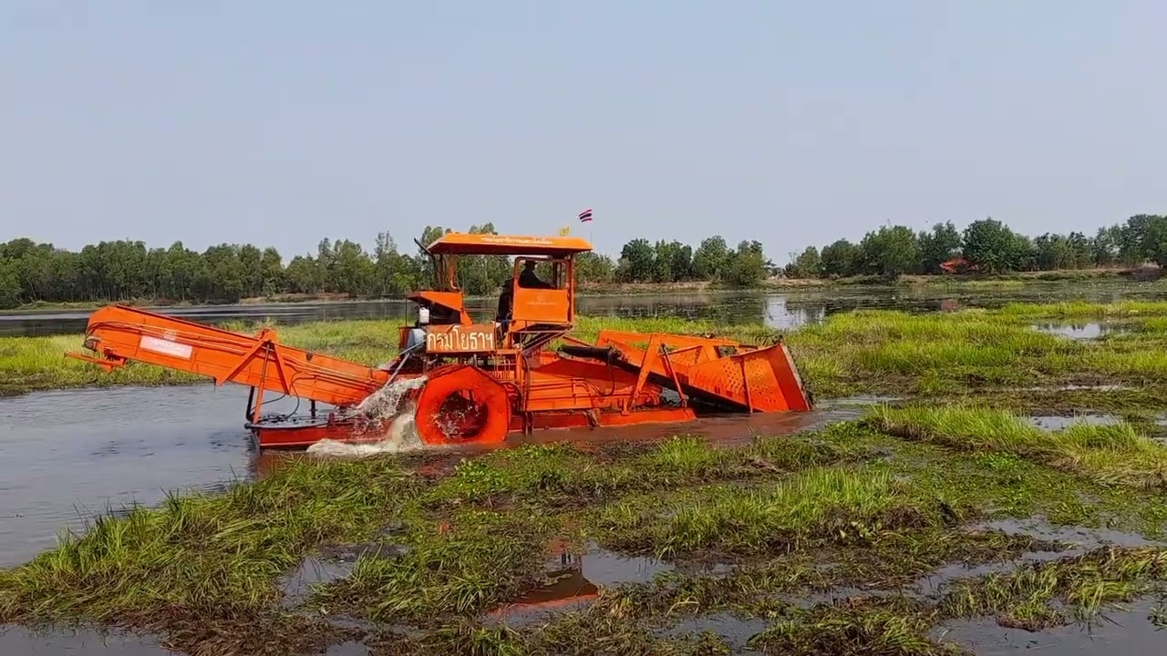 กำจัดวัชพืชหนองน้ำ #อีสานบ้านเฮา #nature #video #viralvideo #farming #videoviral #agriculture 