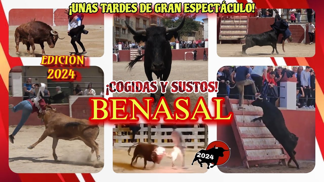 BENASAL - EDICI&Oacute;N 2024