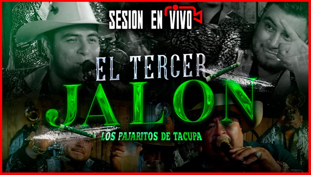 El Tercer Jalon - Los Pajaritos de Tacupa (SESION EN VIVO 🔴)