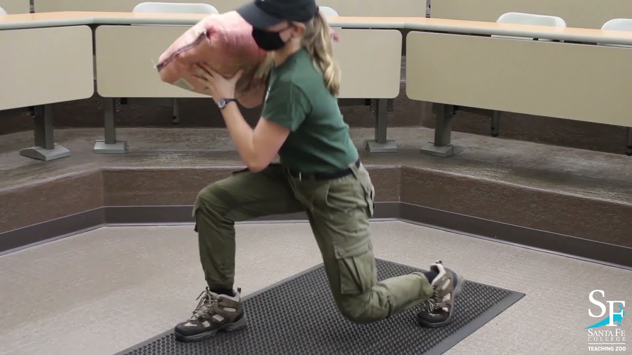 50 Pound Bag Lift Demonstration - Zoo Animal Technology program