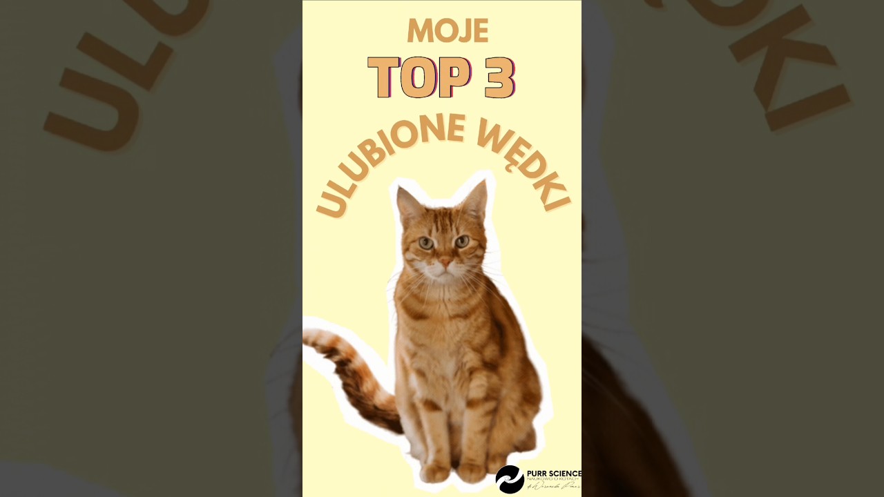 Sklepy: 1. allegro, 2. myzooliday, 3. catorable. A jakie są Wasze ulubione wędki? :)