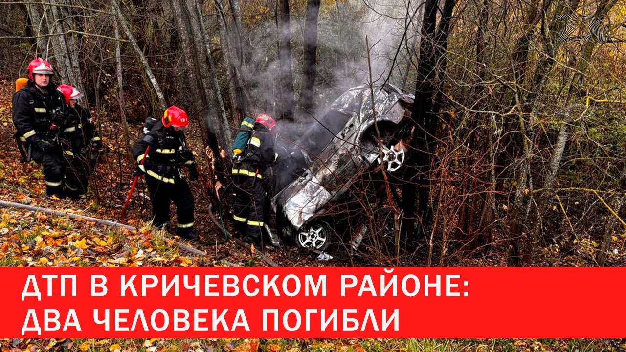 ДТП в Кричевском районе: 2 человека погибли | Зона Х