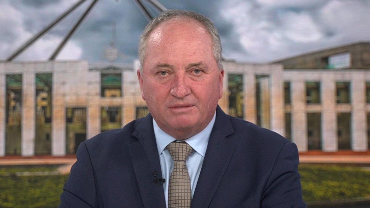 Barnaby Joyce vows to trim &lsquo;absurd&rsquo; migration numbers with One Nation's net-negative plan