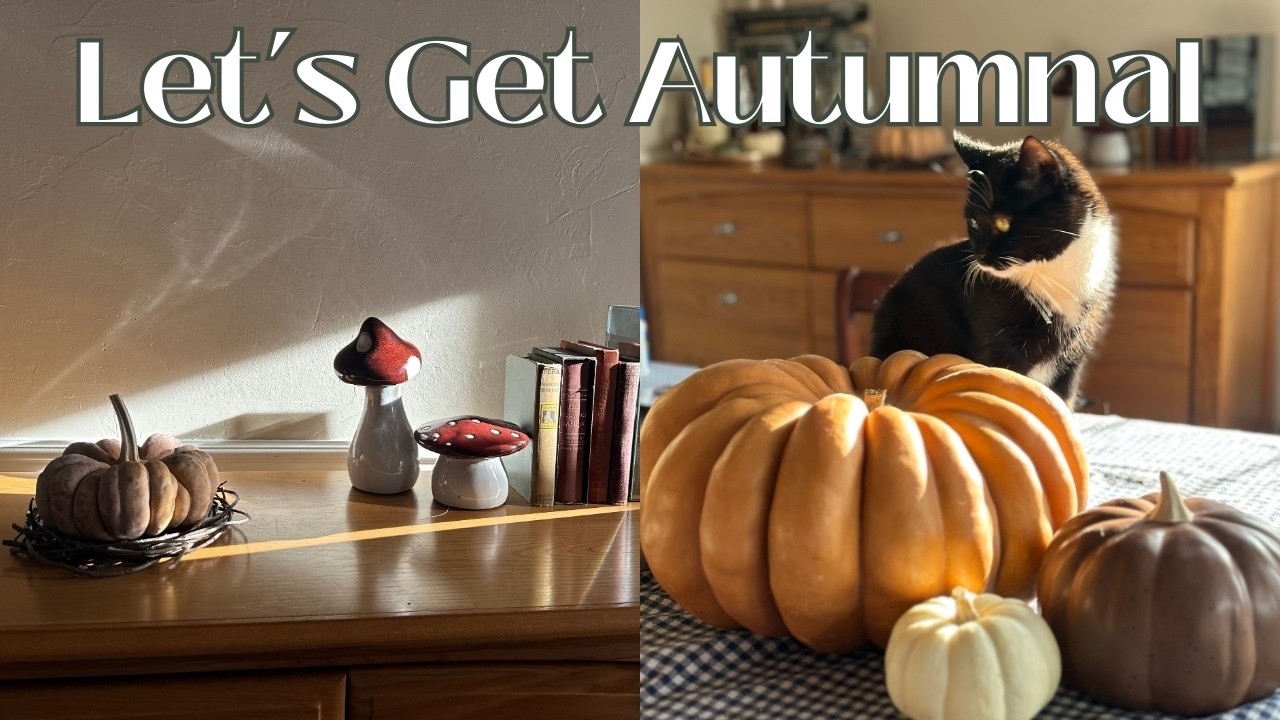 Cozy Cottage Fall Decorate With Me 🍂