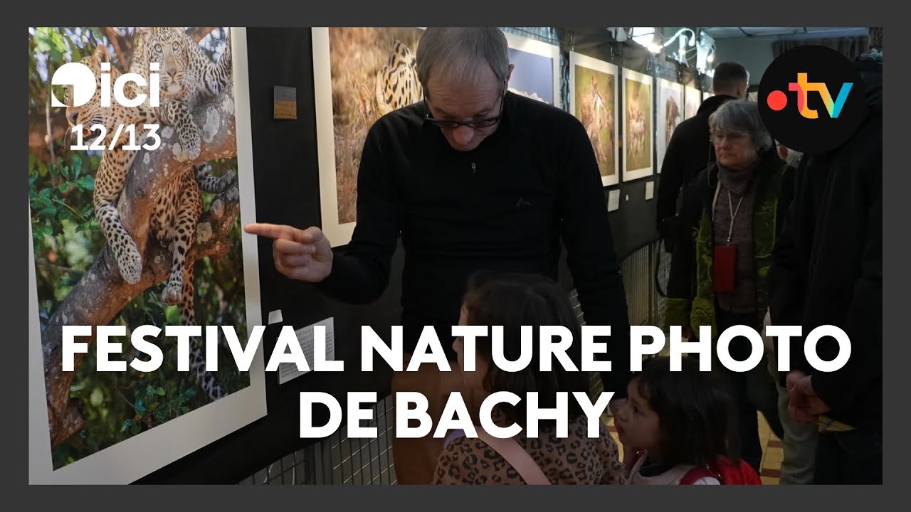 Les animaux et la nature à l'honneur au festival photo de Bachy