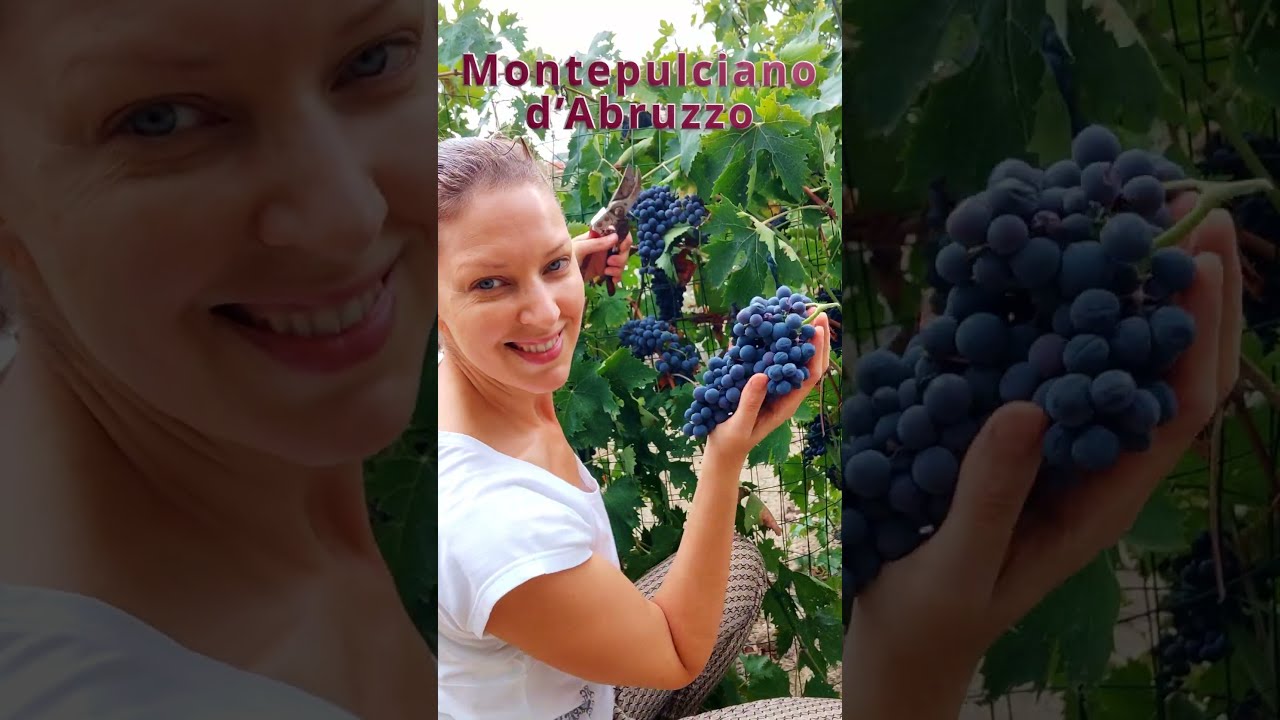 Come fare la Marmellata d'Uva (senza zucchero aggiunto) FACILE e VELOCE