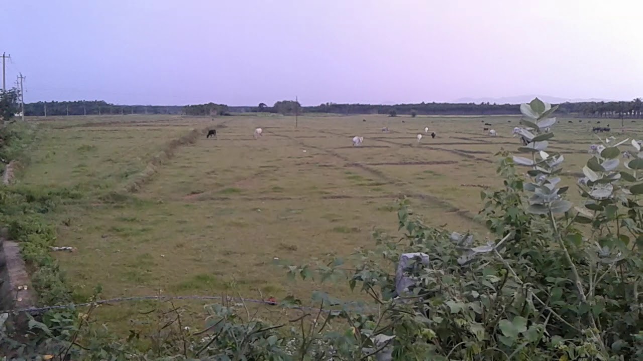 Hanumanahalli yalle dhanagalu sampu