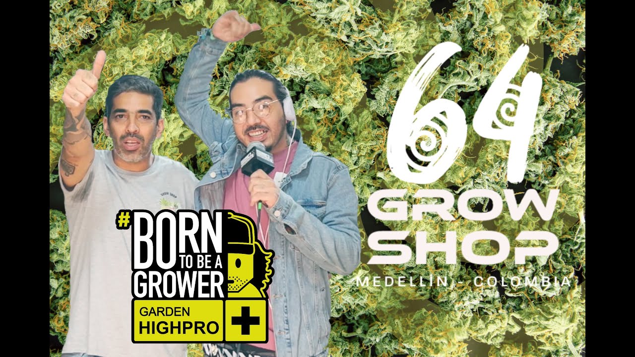Grow Shop 64 Medell&iacute;n Studio Garden Colombia