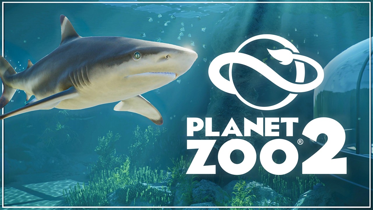 OMG! Sharks Will Do WHAT?! Planet Zoo 2 Aquatic Animals Explained!