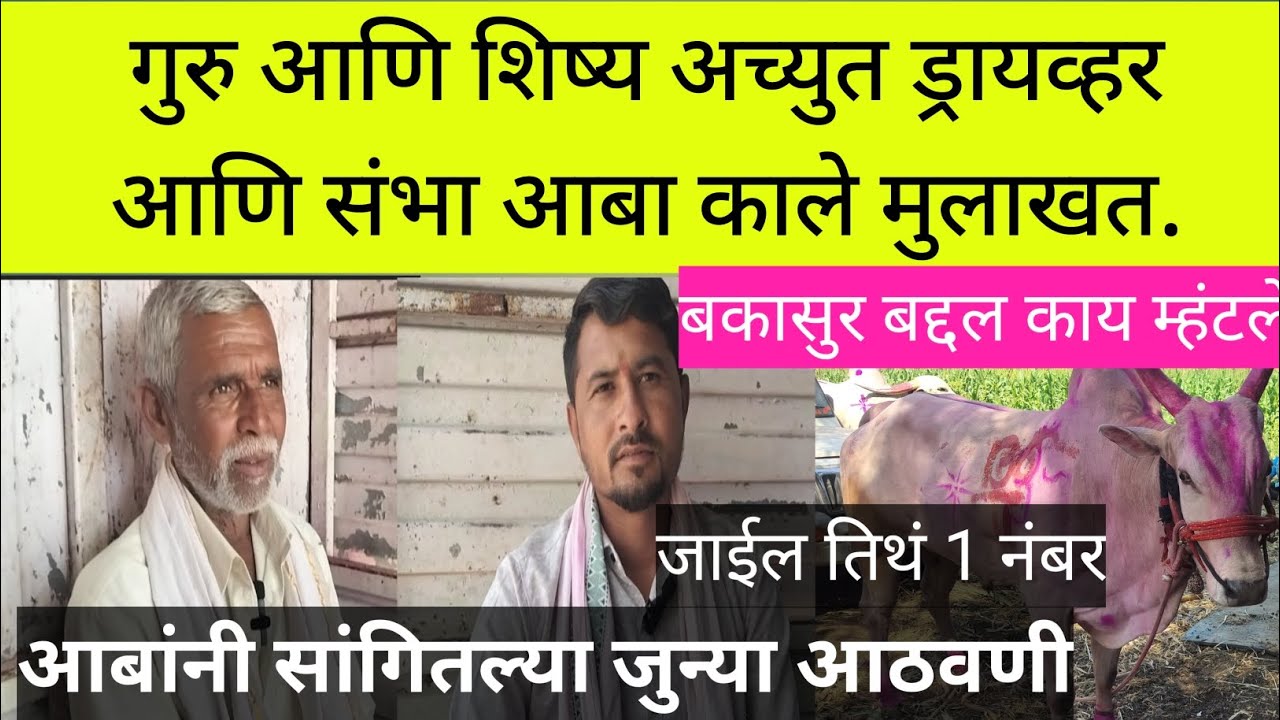 गुरु आणि शिष्य अच्युत ड्रायव्हर आणि संभा आबा काले मुलाखत #bailgada