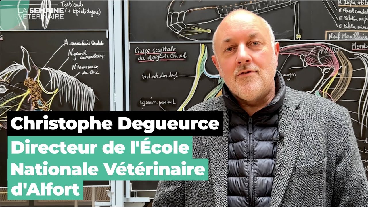 D'où vient le concept One Health ?
