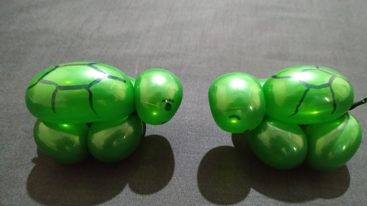 How to make a one balloon turtle🐢 - intwist