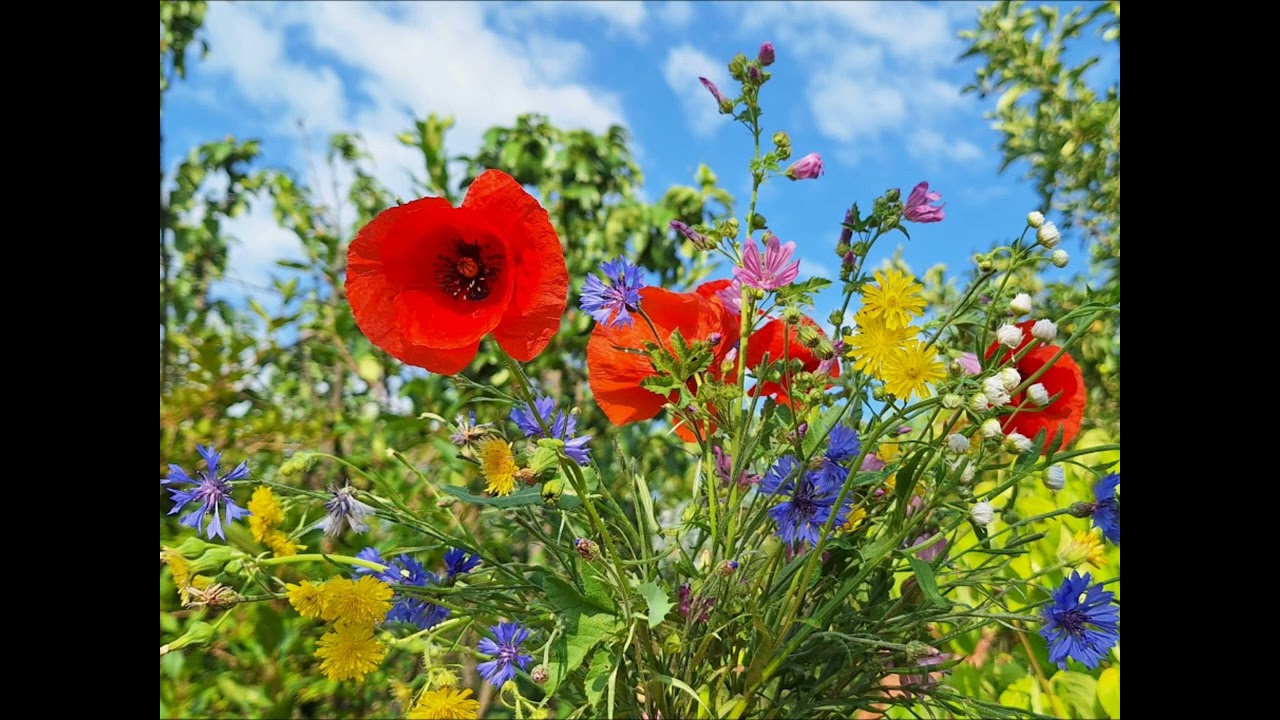 Iisuse, totdeauna vei fi, voce live și pian live, 110, CCC Bacău 2020