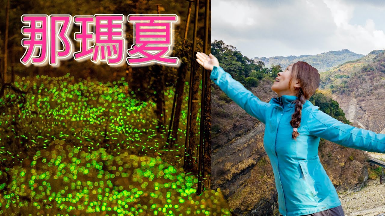 『那瑪夏』除了螢火蟲，還有很多天然景色，連八八風災破壞的區域，都已經變成叢林