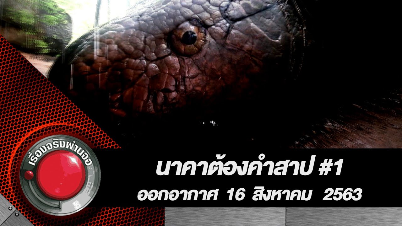 นาคาต้องคำสาป#1 l 16 สิงหาคม 2563