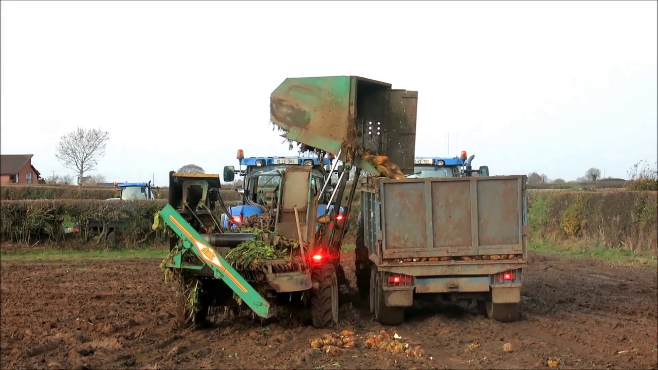 Machinery: harvesting beet in Co Kildare