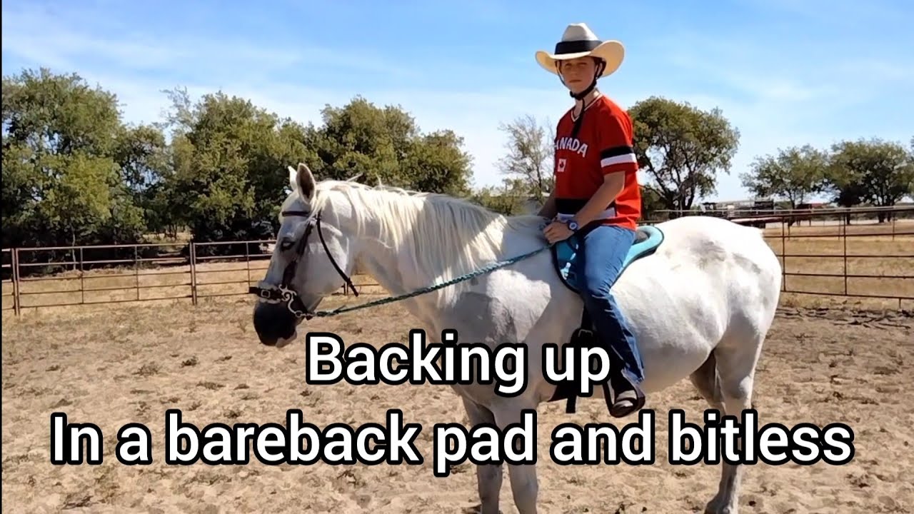 Backing Up using a bareback pad and bitless bridle
