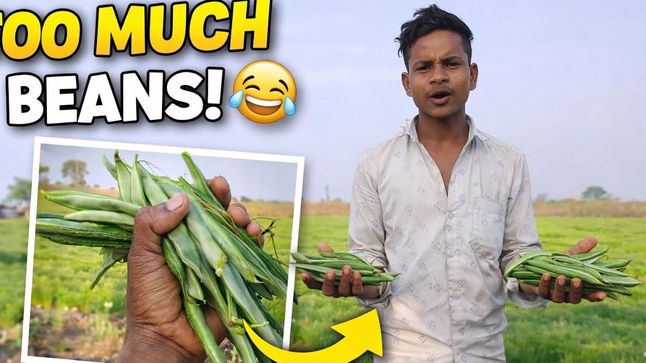 Papdi😊 Farming🌾 #viral #Pravin block