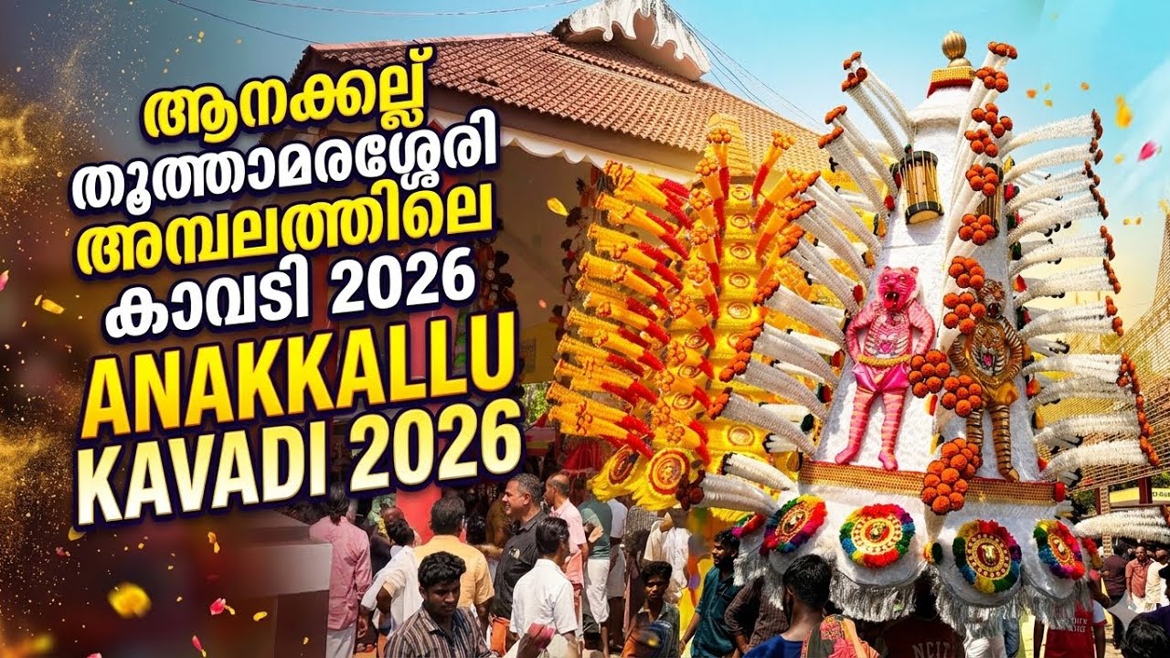 ആനക്കല് തൃത്താമരശ്ശേരി അമ്പലത്തിലെ കാവടി ആഘോഷം 2026 #viralvideo #kavadi #trending #keralatourism