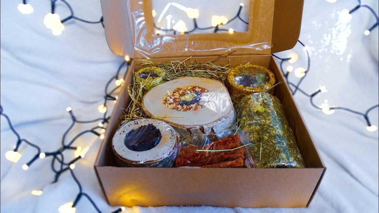 ŚWIĄTECZNY BOX dla zwierzaka +KONKURS