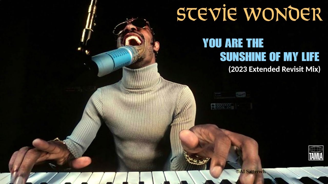 Stevie Wonder 