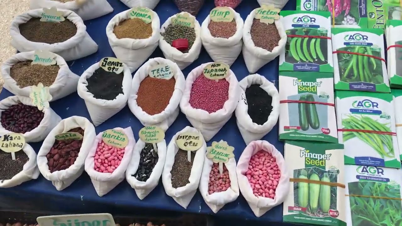 Atalık ve Hibrit tohum / Fide alırken nelere dikkat edilir