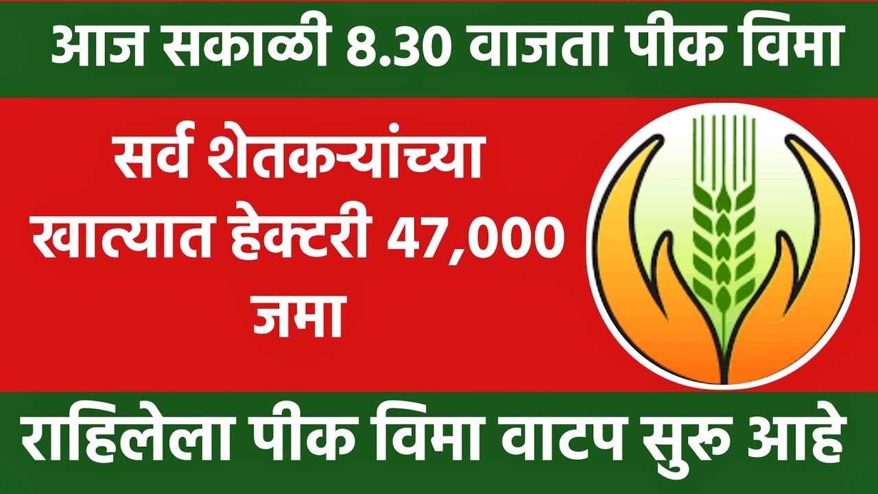 आज सकाळी 8.30 वाजता पीक विमा जमा 💸 47000 हेक्टरी जमा | pik vima 2026 new update | pik vima update