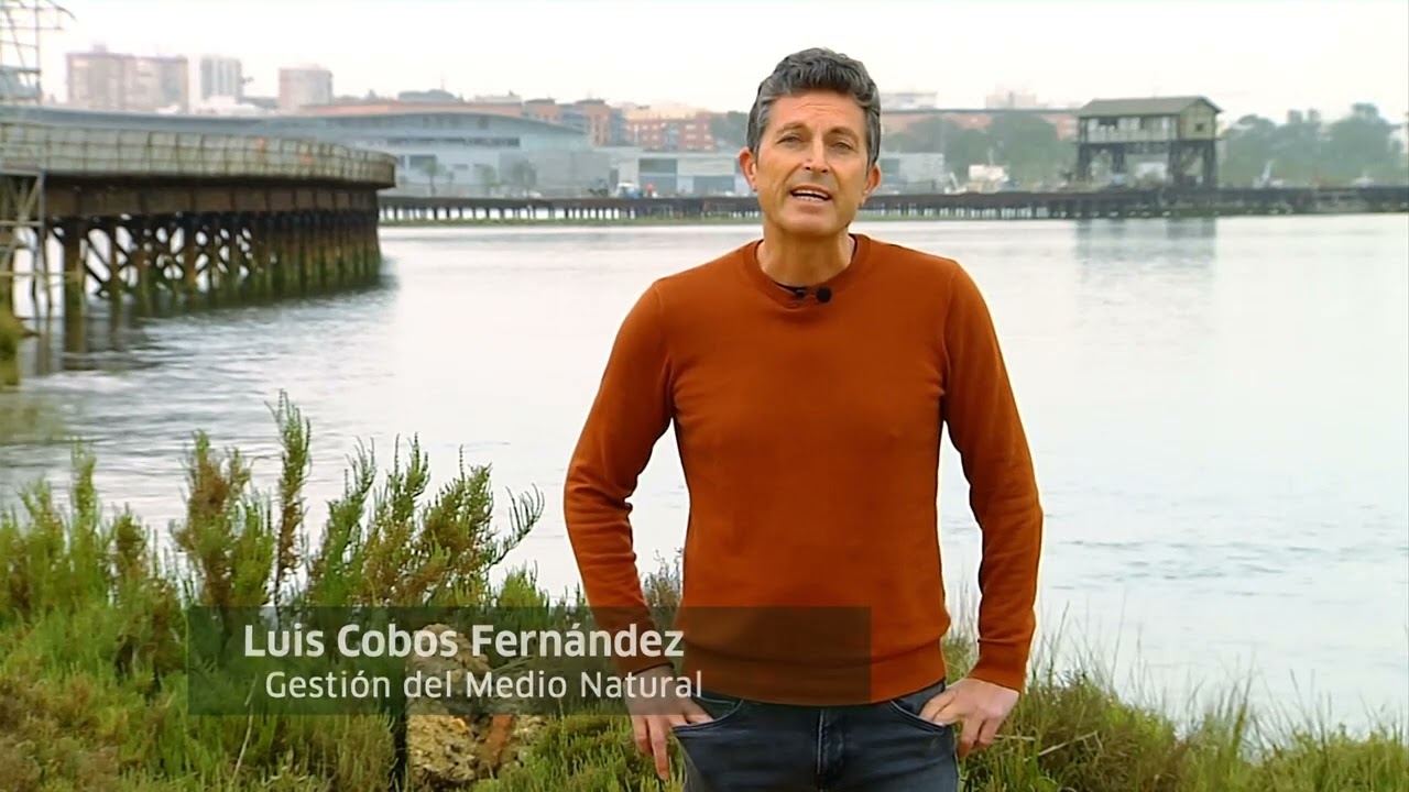 Inaugurada una nueva vía verde que circunda el paraje natural Marismas del Odiel, en Huelva