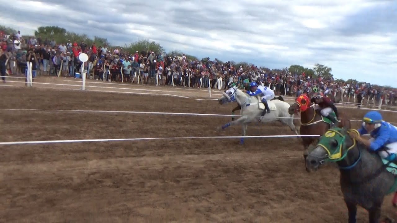 Claudioturf Hipódromo San Antonio de Catuna: Energy Lew, Euller Verde, No Que No 14.12.2025