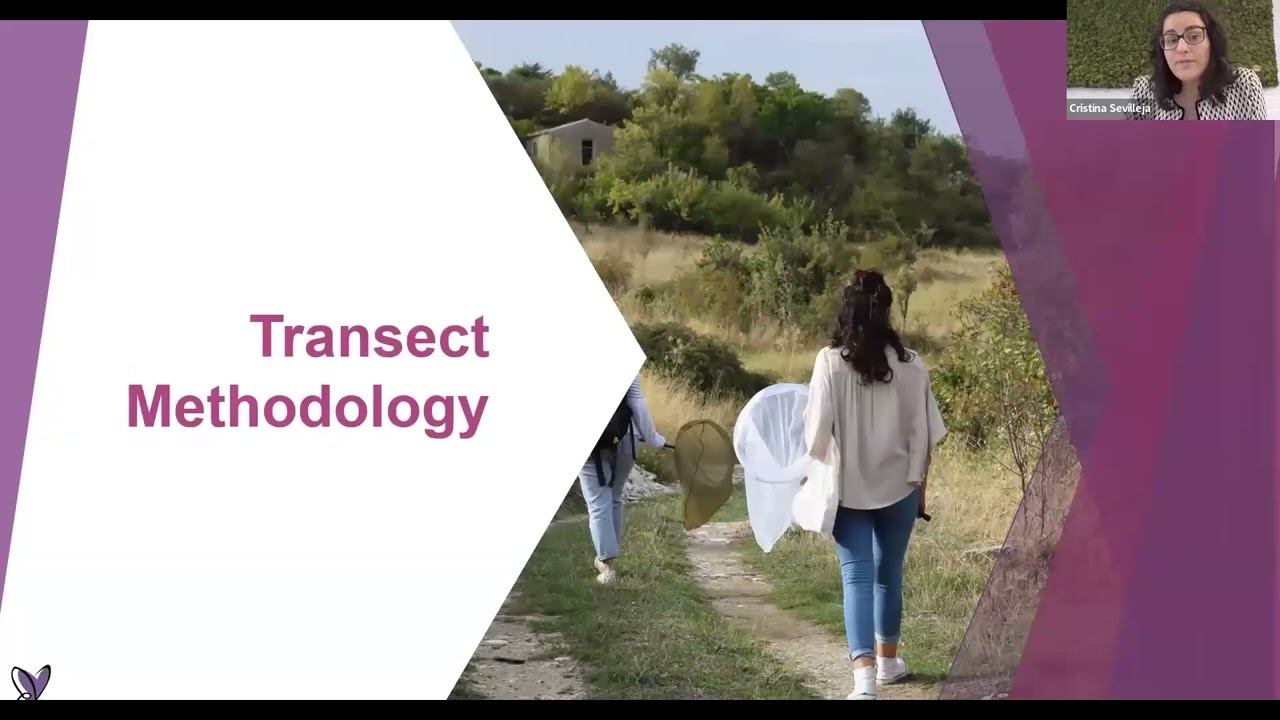 Introduction talk on eBMS and the transect methodology - Cristina Sevilleja, eBMS coordinator