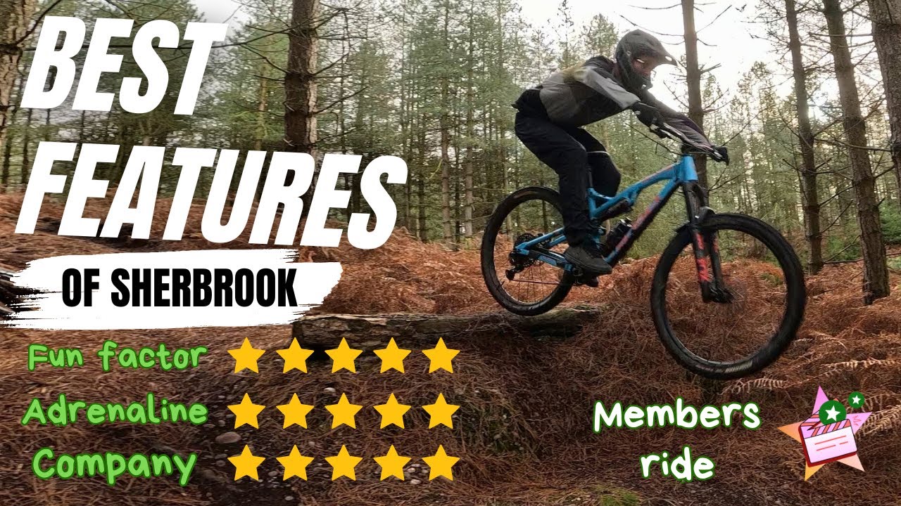The Best Drops and Jumps of Cannock Chase off piste trails
