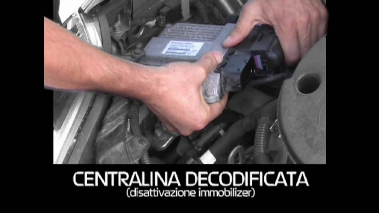 Ladro ruba auto in diretta comprando attrezzi da ebay