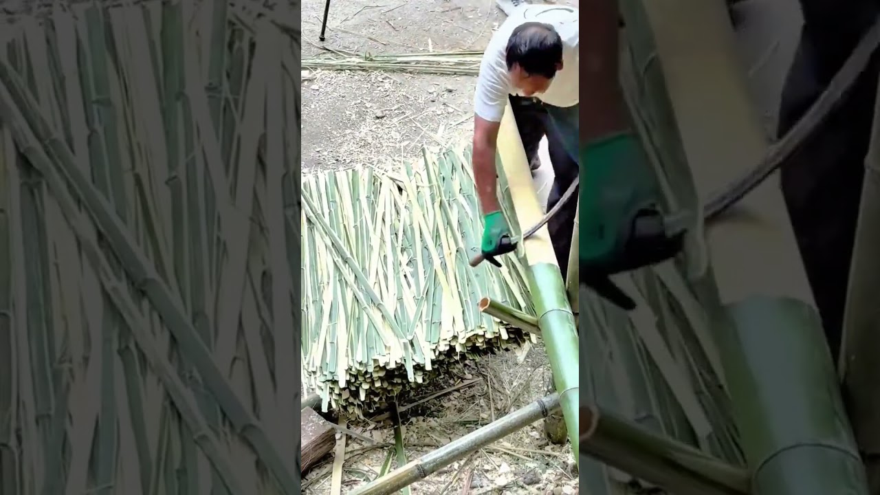 Traditional Bamboo Splitting With Sharp Sickle To Create Thin Flexible Strips For Weaving