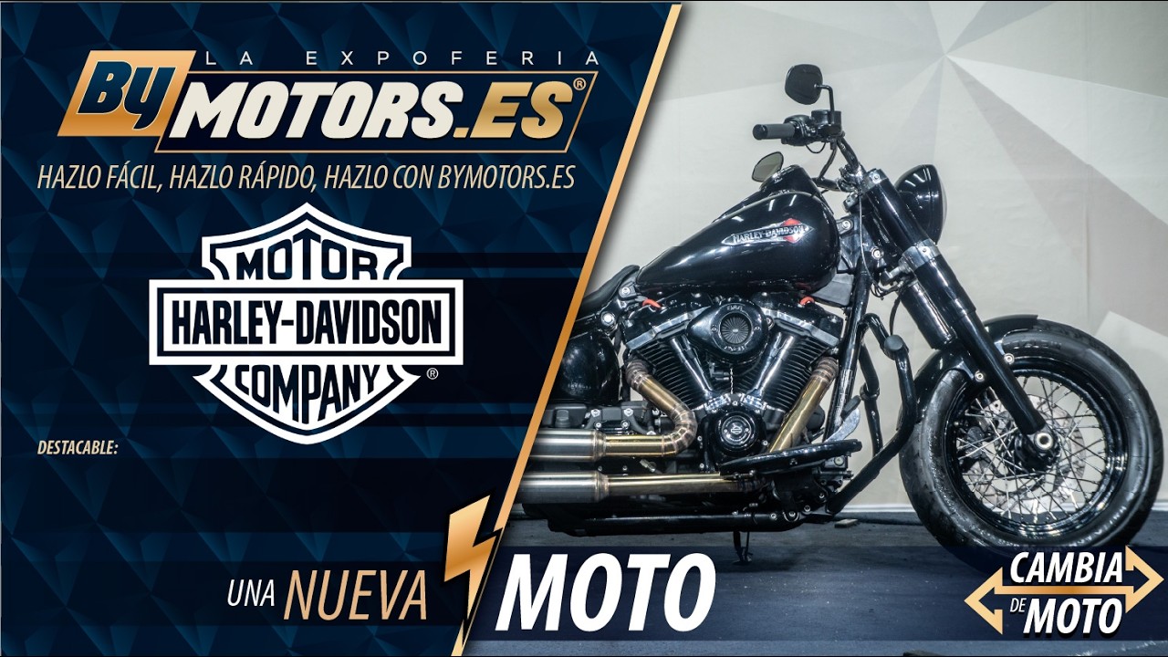 HARLEY DAVIDSON Softail Slim