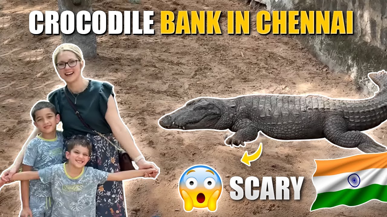 TAKING KIDS To SCARY Crocodile Bank in Chennai