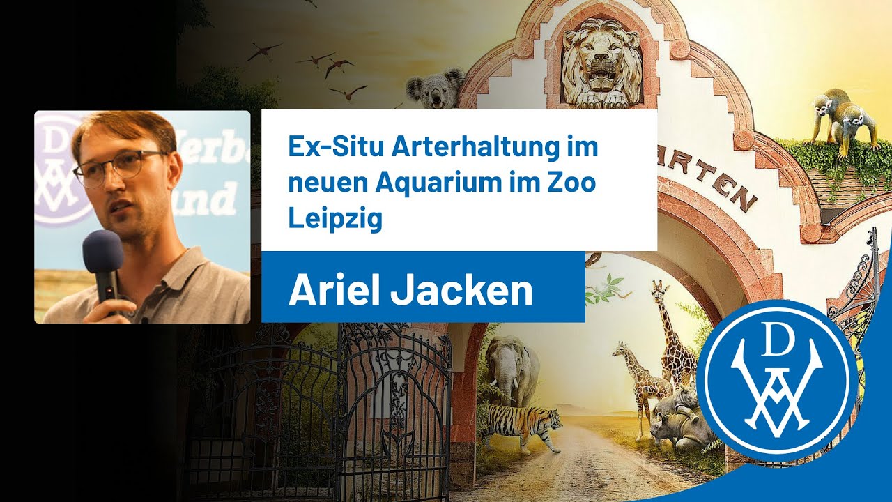 Arterhaltung im neunen Aquarium Leipzig - Ein Vortrag von Ariel Jacken (Kurator Zoo Leipzig)